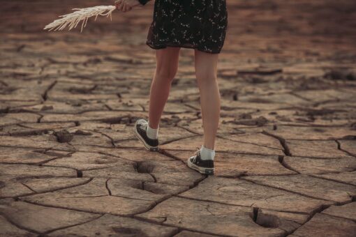Siccità in Europa: la situazione si fa sempre più grave