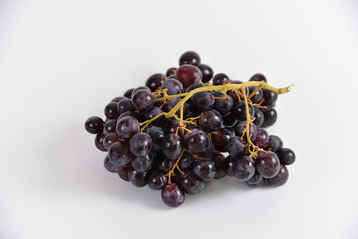Uva, Nera Uva, Nera