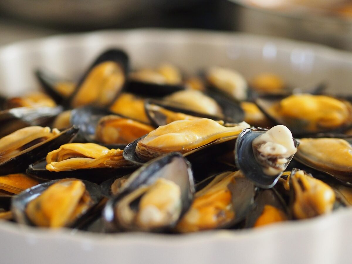 Vongole Vongole