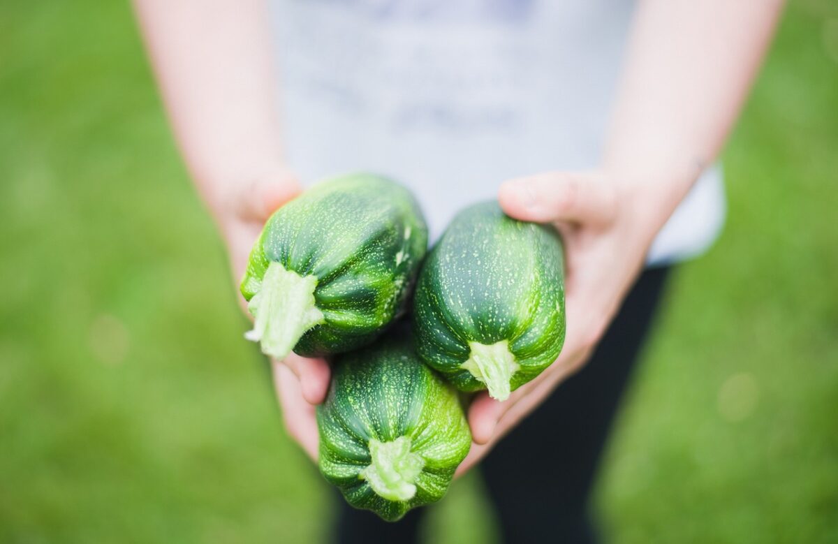 Zucchine Zucchine