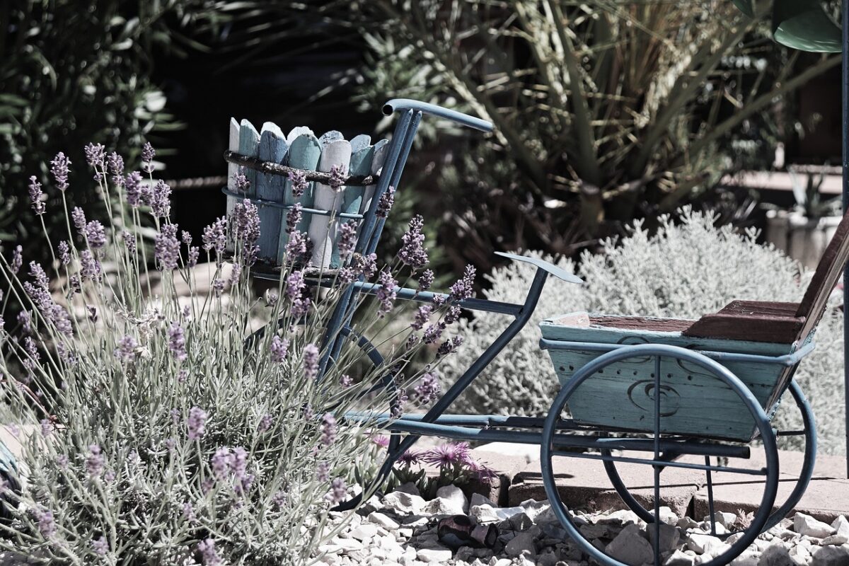 ARREDO, GIARDINO ARREDO, GIARDINO