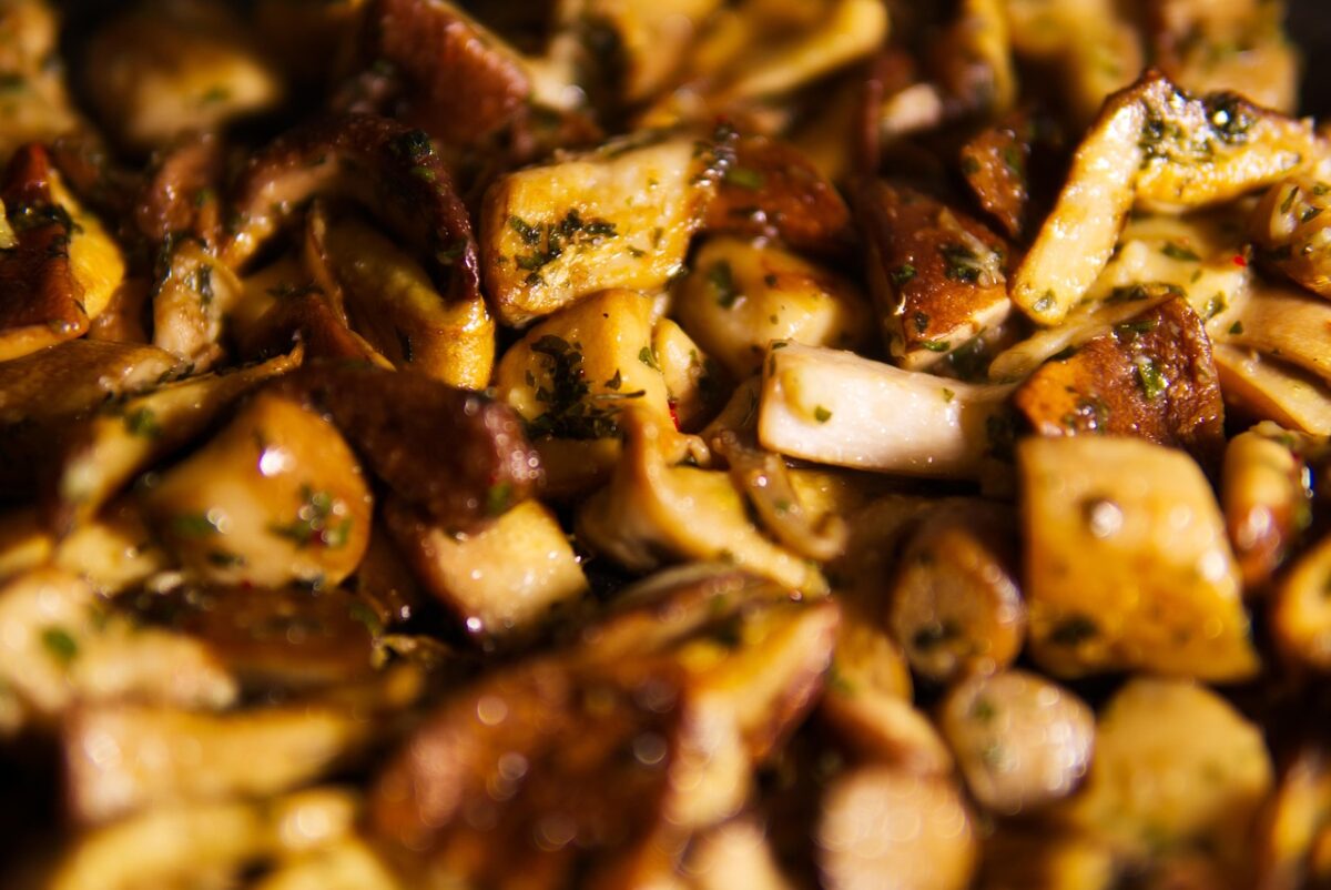 PORCINI PORCINI