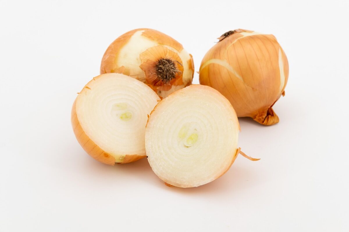 Cipolla Cipolla