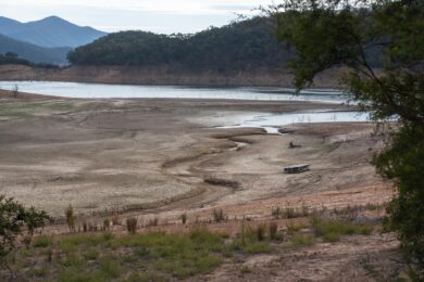 Il grande fiume d’Europa si sta prosciugando: la siccità lascia un paesaggio surreale