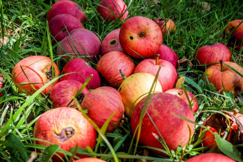Frutta, Marcia