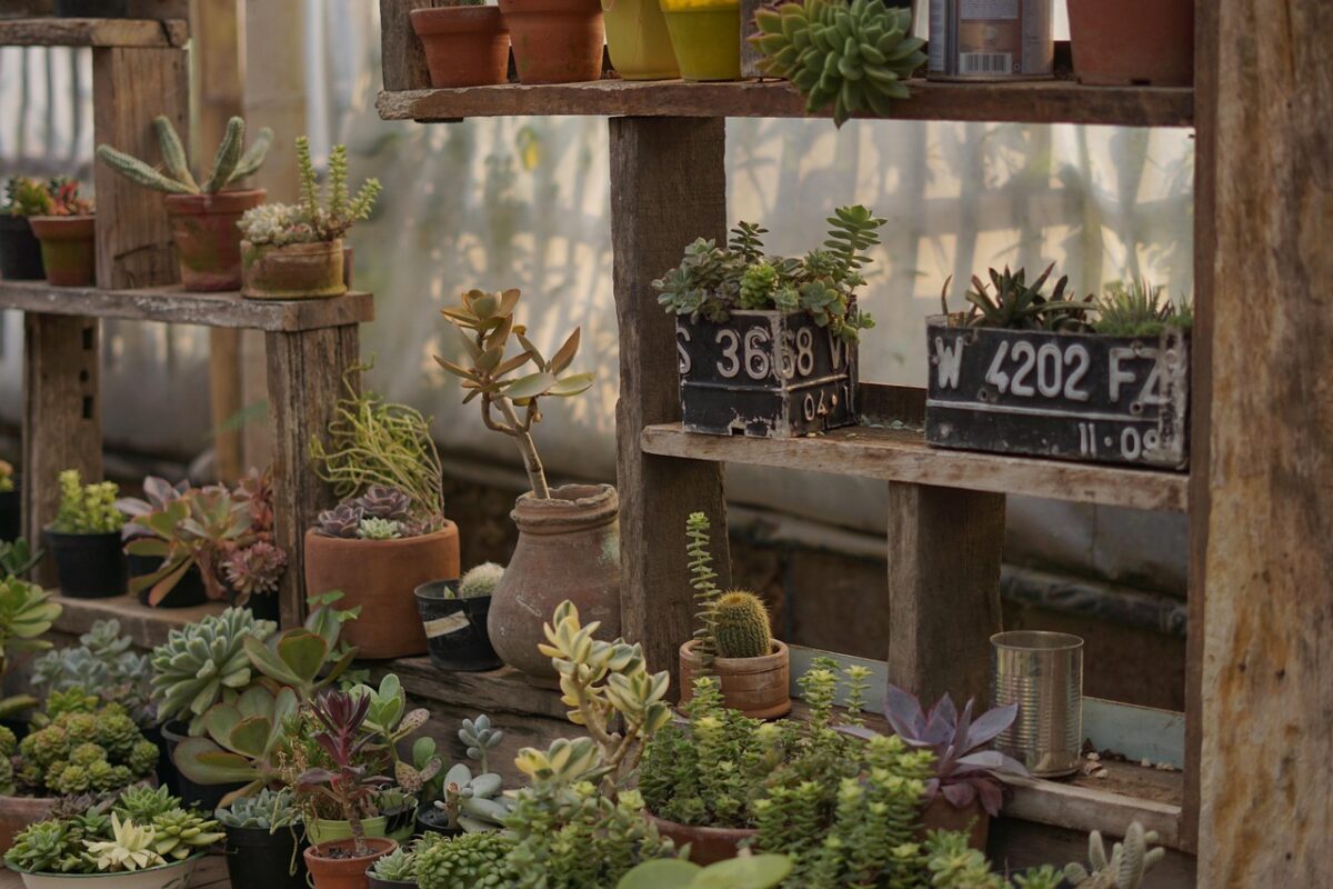 Giardino, Con Giardino, Con