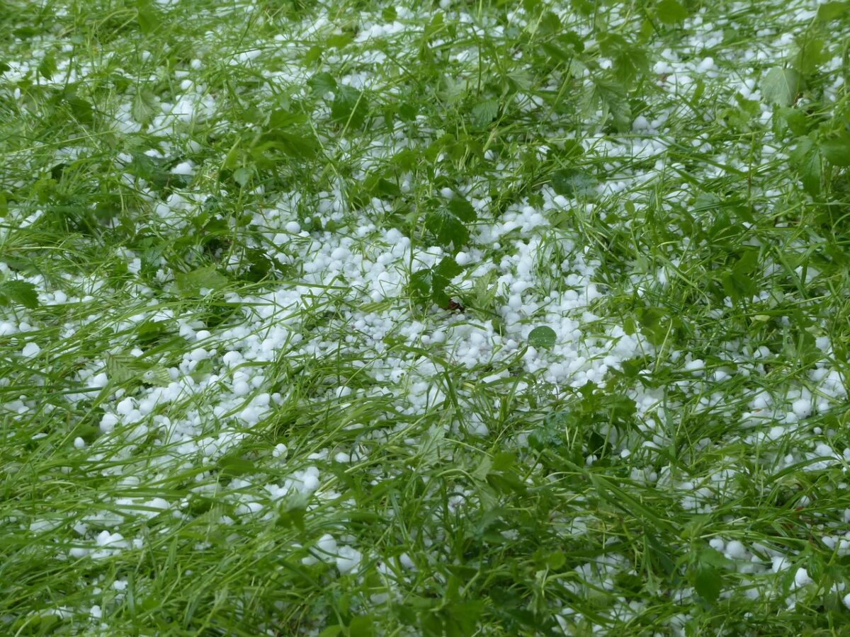 Grandine, Giardino Grandine, Giardino
