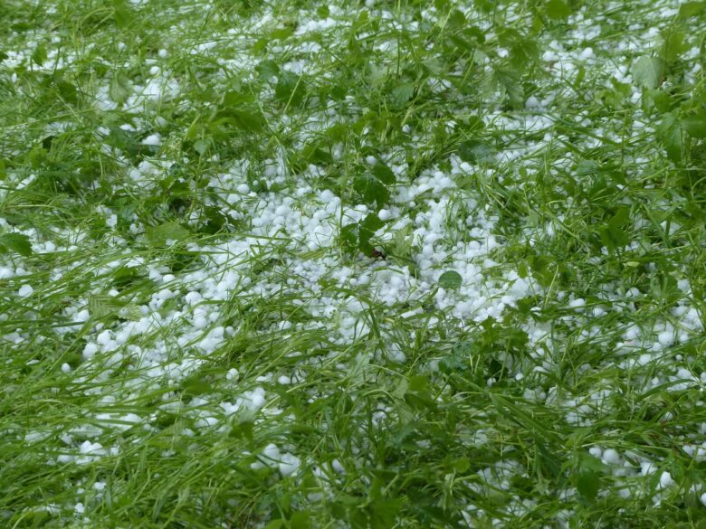 Grandine, Giardino