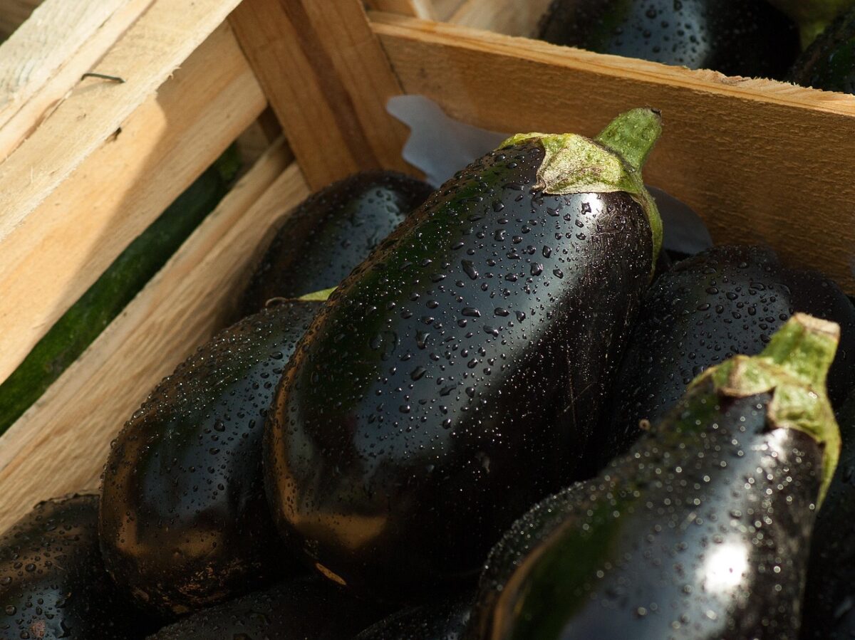 Melanzane Melanzane