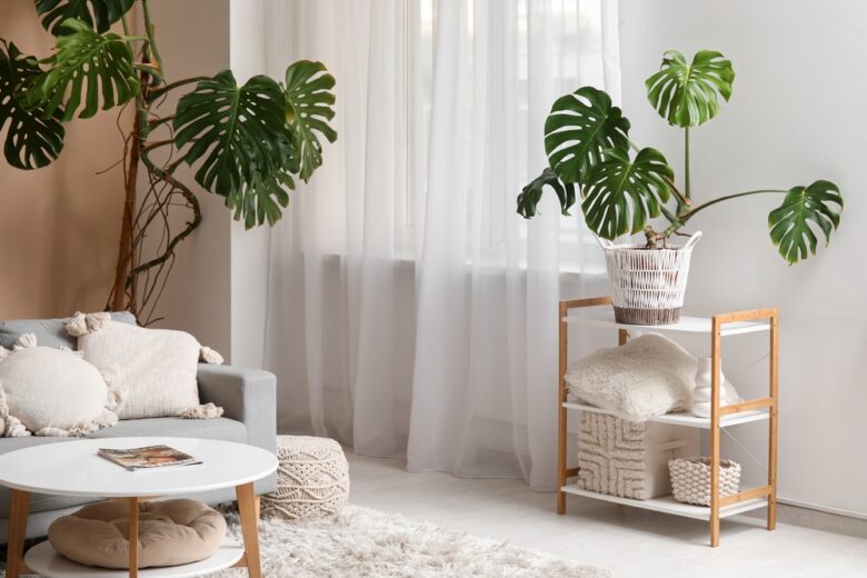 Monstera,Houseplants,,Sofa,,Coffee,Table,And,Shelving,Unit,Near,Window