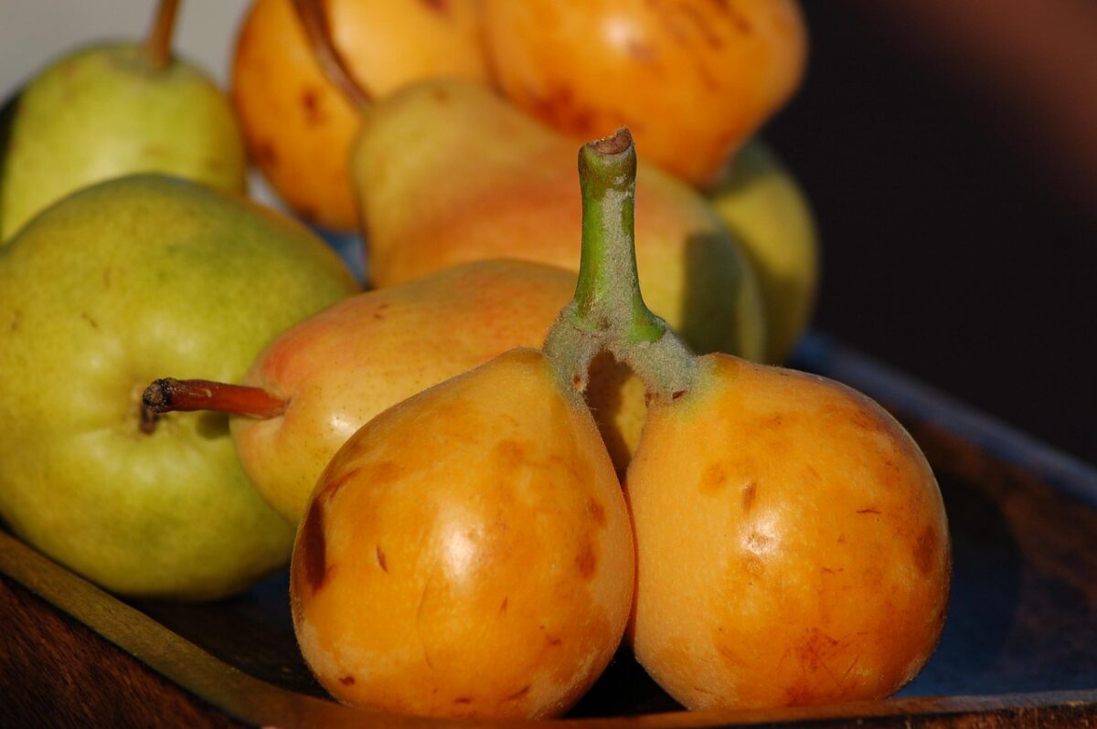 Nespole
