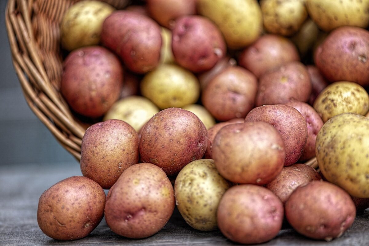 Patate Patate