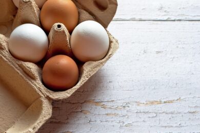 Le uova biologiche fanno davvero bene all’ambiente? Uno studio ribalta le certezze