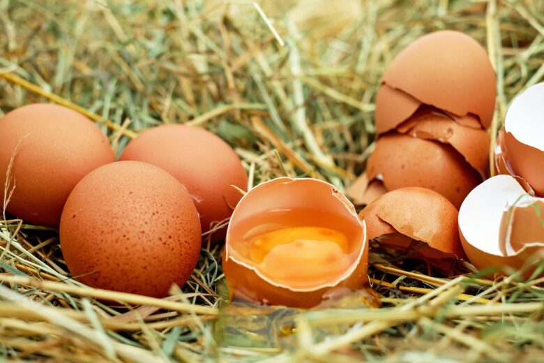 Uova, Galline