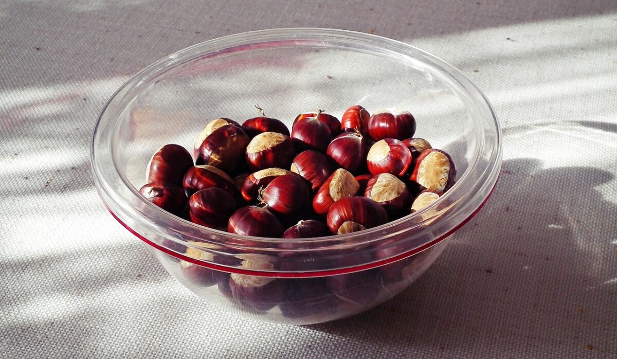 CASTAGNE CASTAGNE