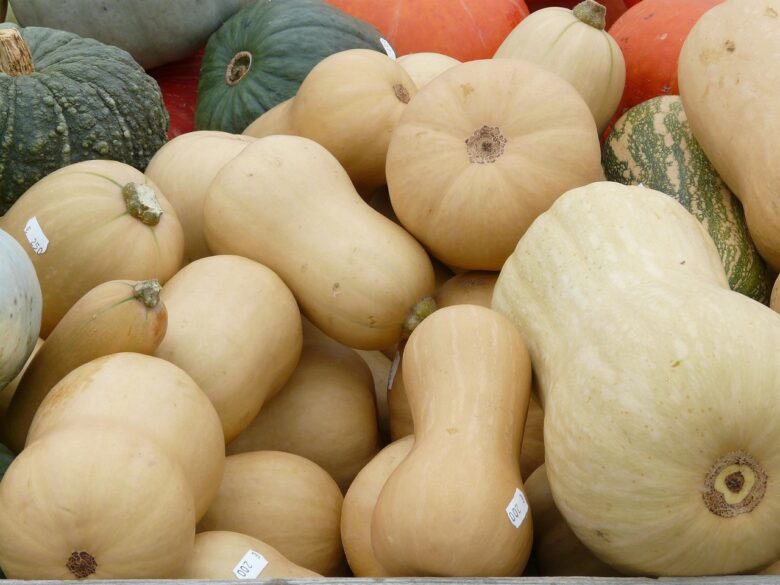 Zucca, Lunga