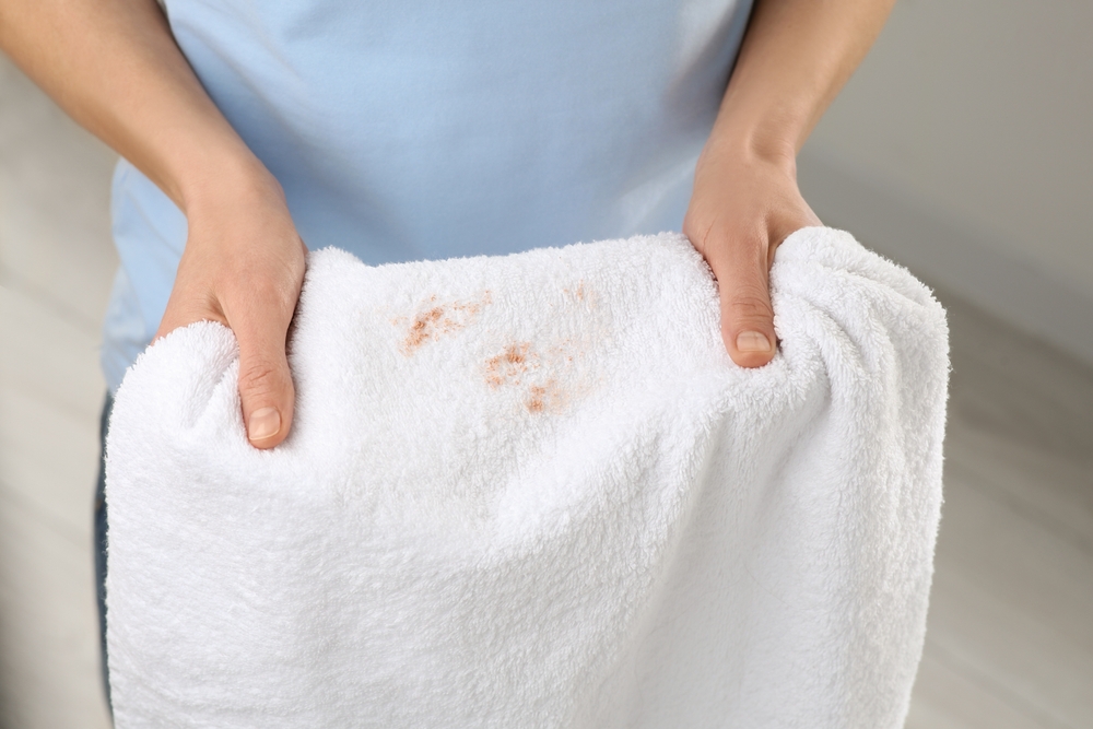 Woman,Holding,Terry,Towel,With,Makeup,Spot,Indoors,,Closeup