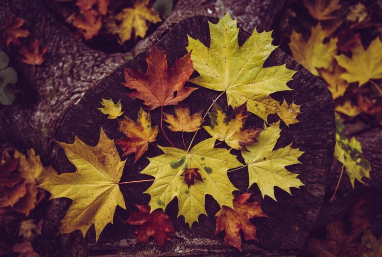 Autunno