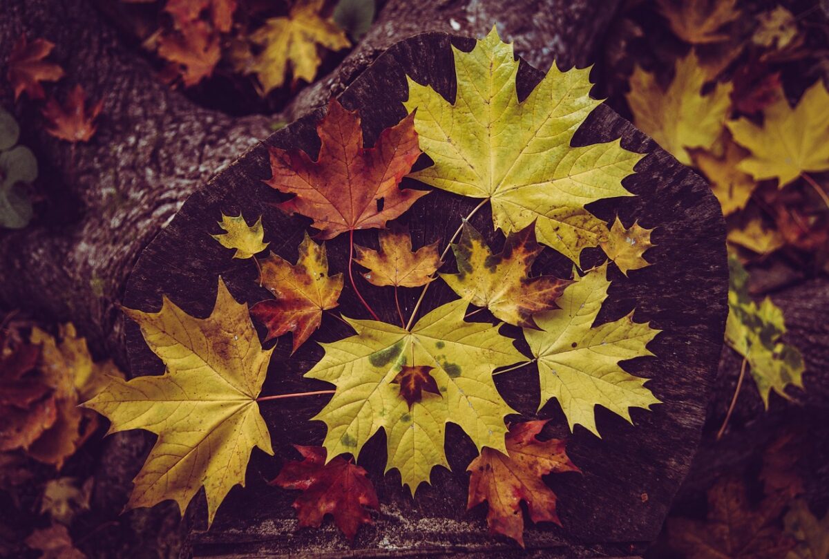 Autunno Autunno