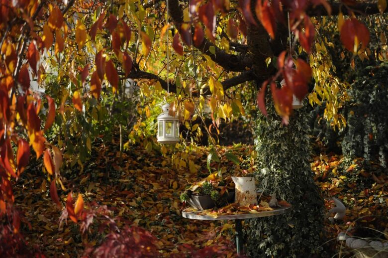 Autunno, Giardino