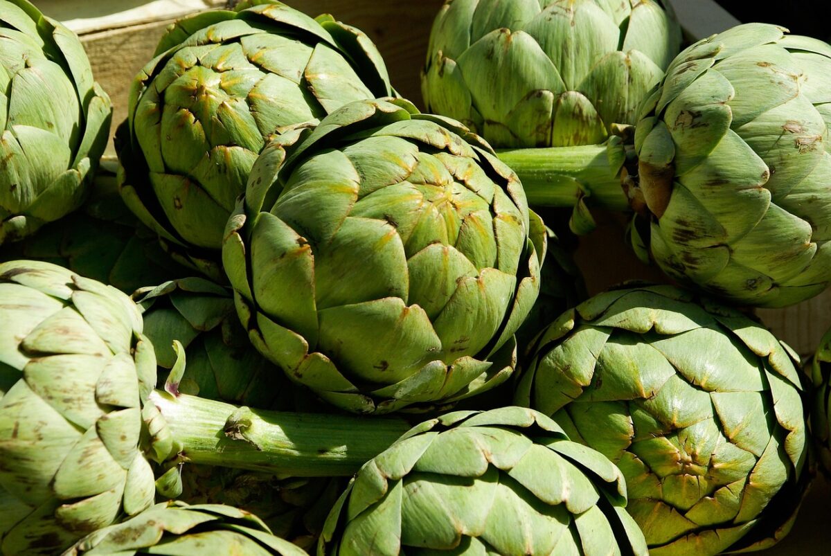 Carciofi Carciofi