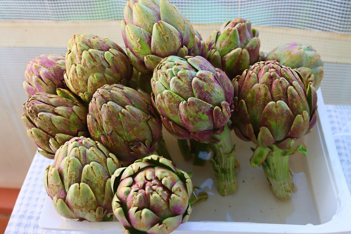 Carciofi Carciofi