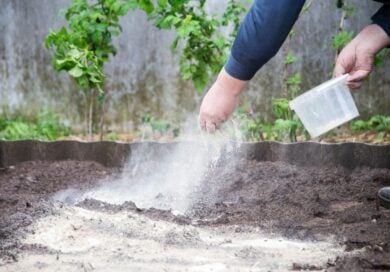 La farina non serve solo in cucina: in giardino può diventare un piccolo asso nella manica