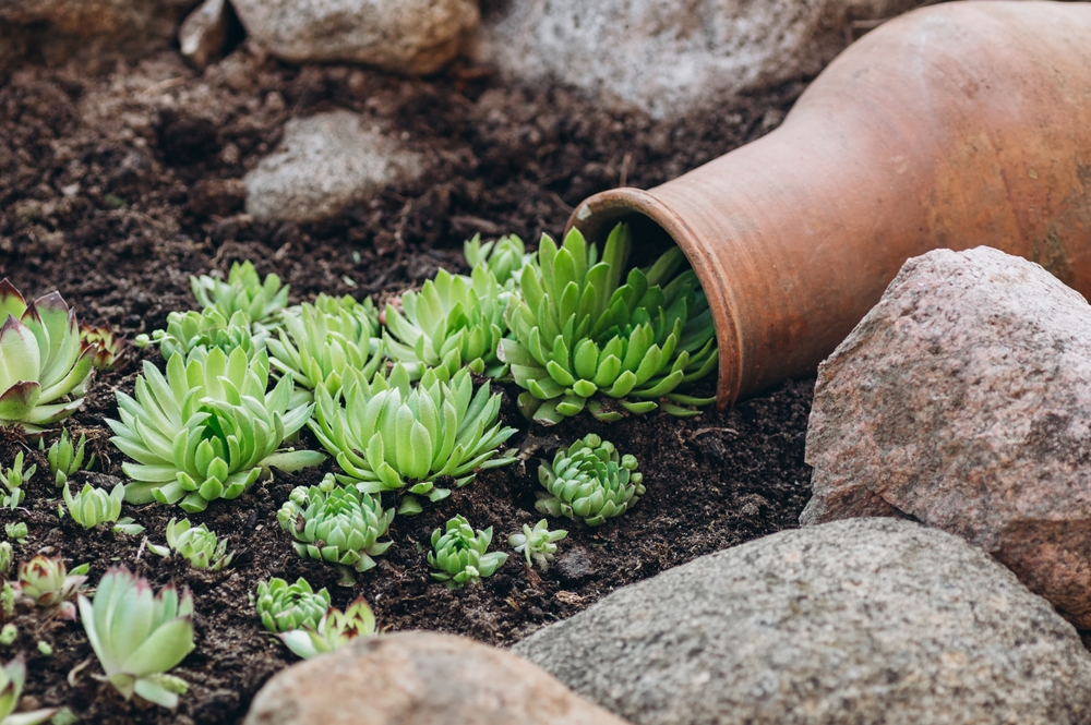 A,Creative,Garden,Composition,Features,A,Tipped,Clay,Pot,With