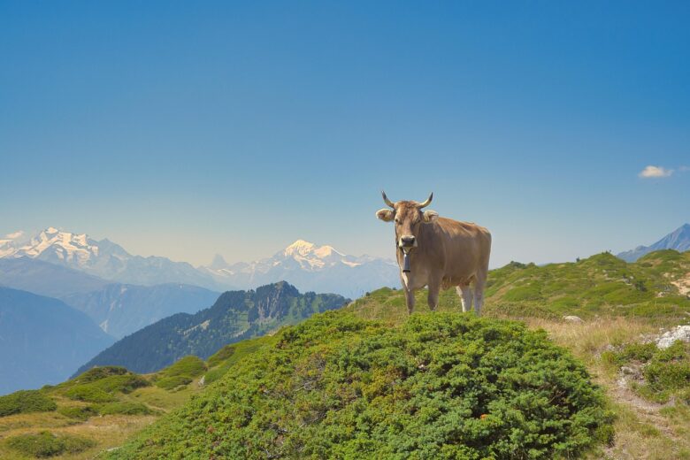 Scioglimento ghiacciaio Marmolada