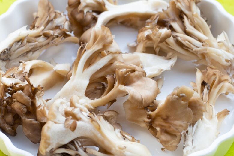 Grifola frondosa stesi su piatto bianco