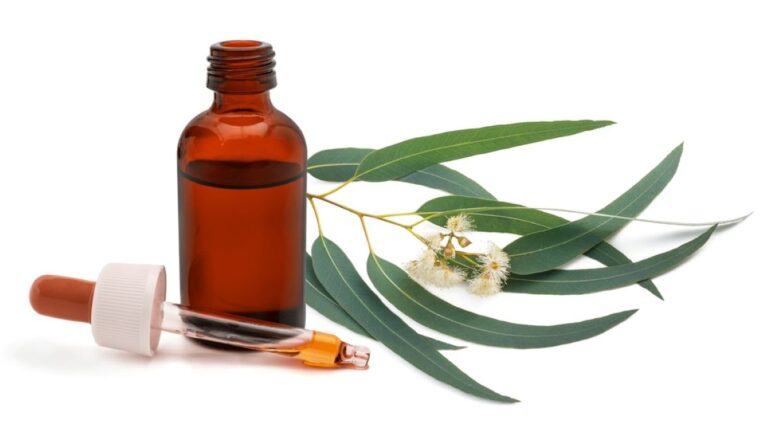 olio-essenziale-eucalipto