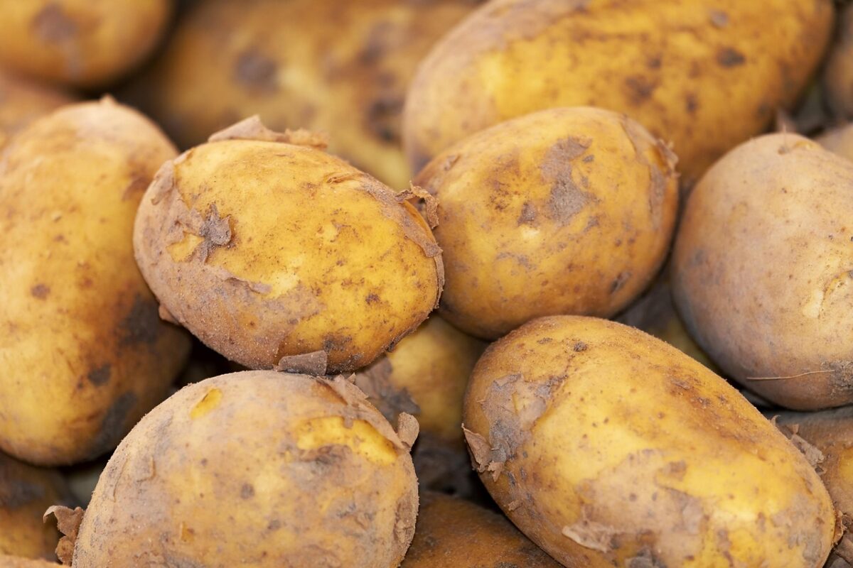 Patata Patata