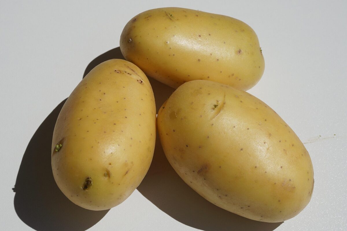 Patata, Cruda Patata, Cruda