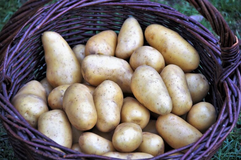 Patata, Cruda