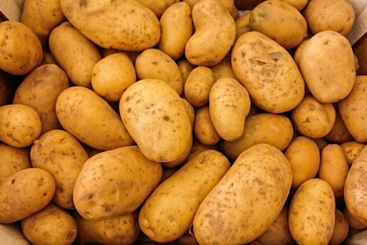 Patate Patate