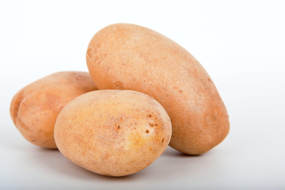 Patate Patate