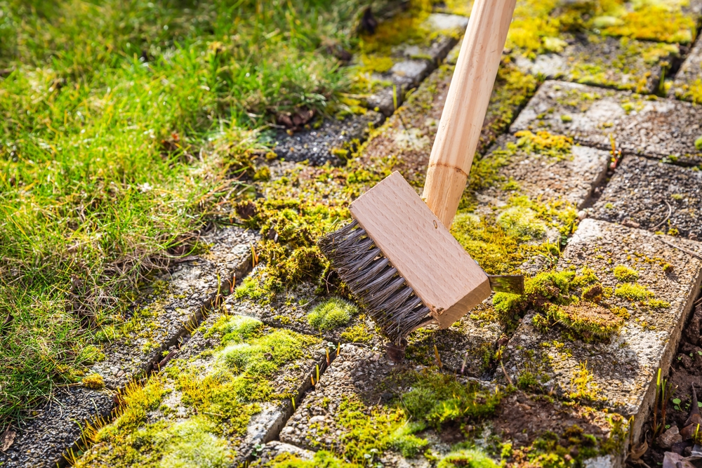 Removing,And,Scratching,Moss,Out,Of,Paving,Stones,,Cleaning,Terrace