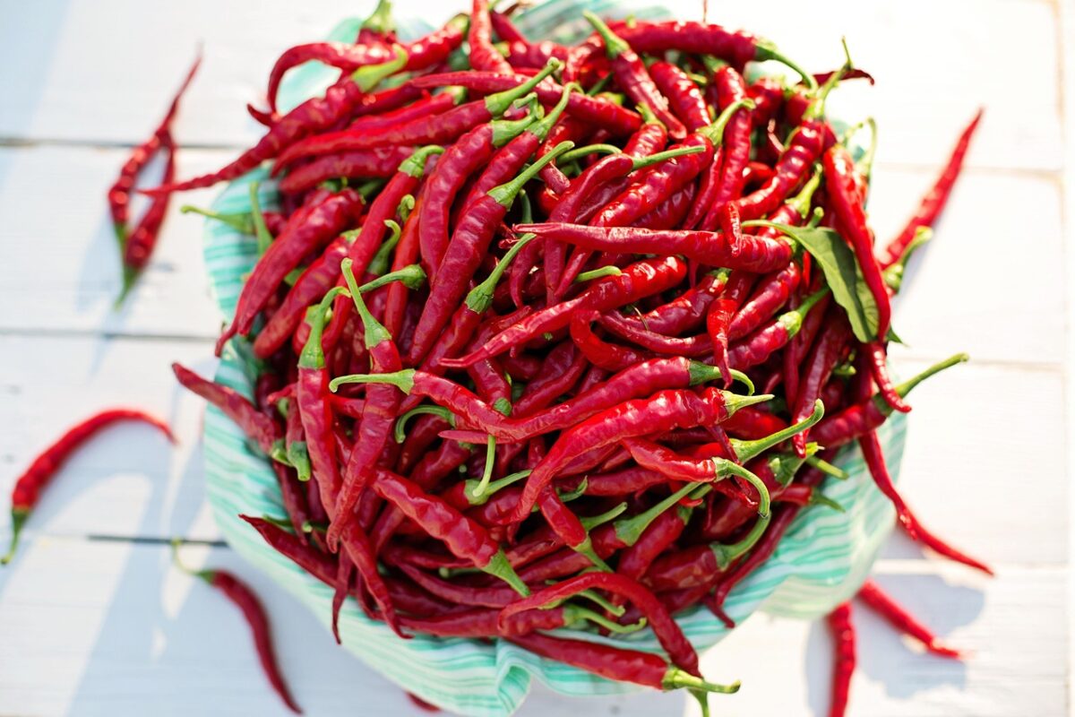 Peperoncino, Secco Peperoncino, Secco