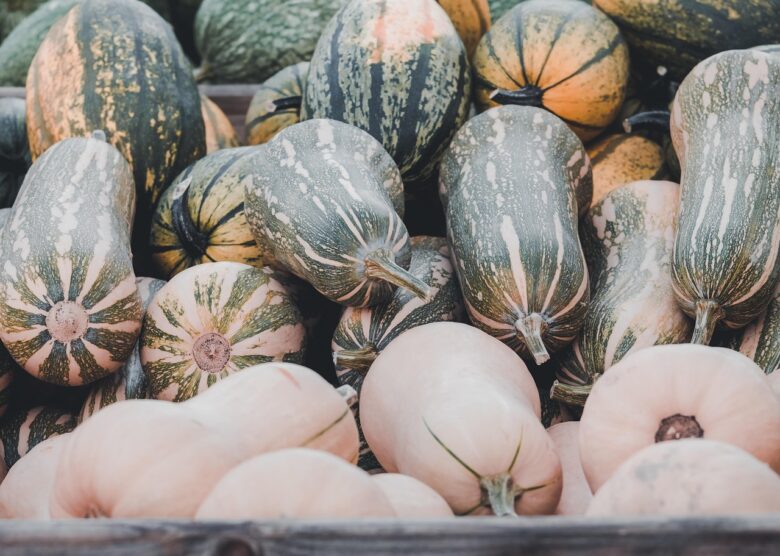 Pumpkin