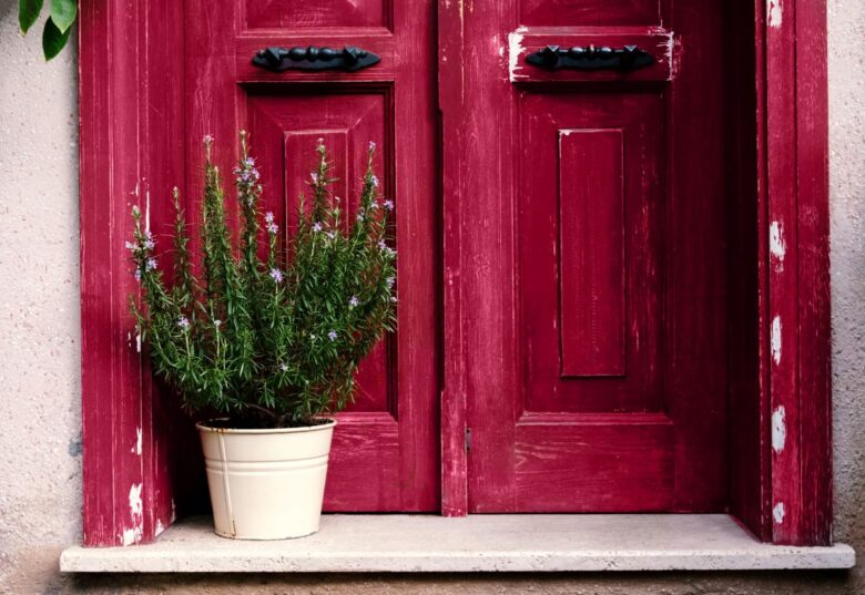 Pianta di rosmarino davanti a porta di legno rosso