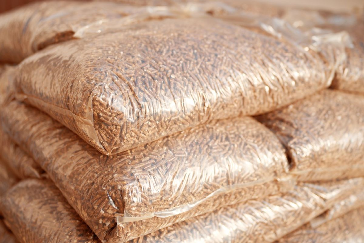 sacchi-pellet sacchi-pellet
