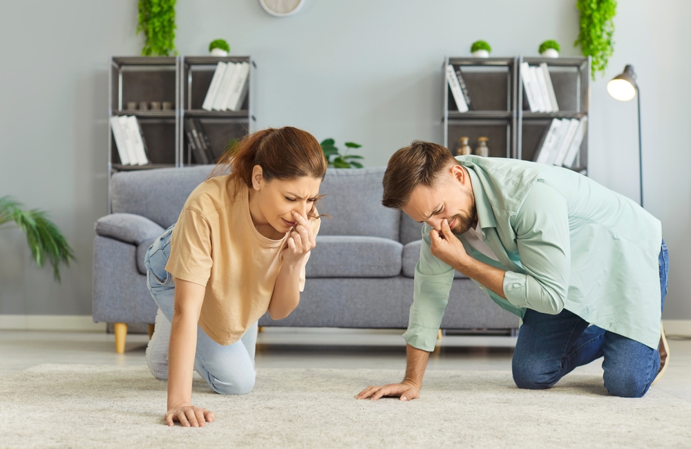Couple,Kneeling,On,Floor,In,Living,Room,,Covering,Their,Noses Couple,Kneeling,On,Floor,In,Living,Room,,Covering,Their,Noses