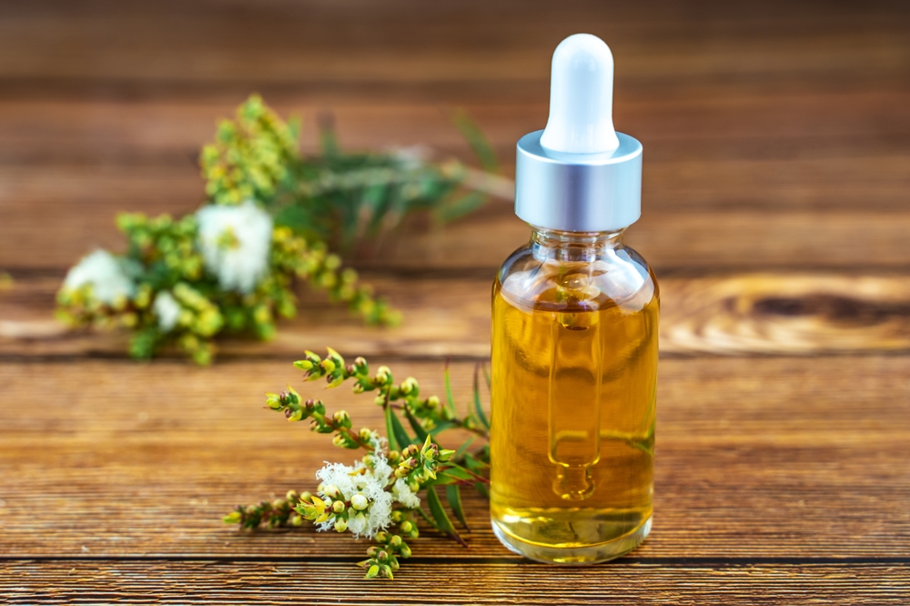 Fresh,Tea,Tree,Branch,And,Essential,Oil,On,A,Wooden Fresh,Tea,Tree,Branch,And,Essential,Oil,On,A,Wooden