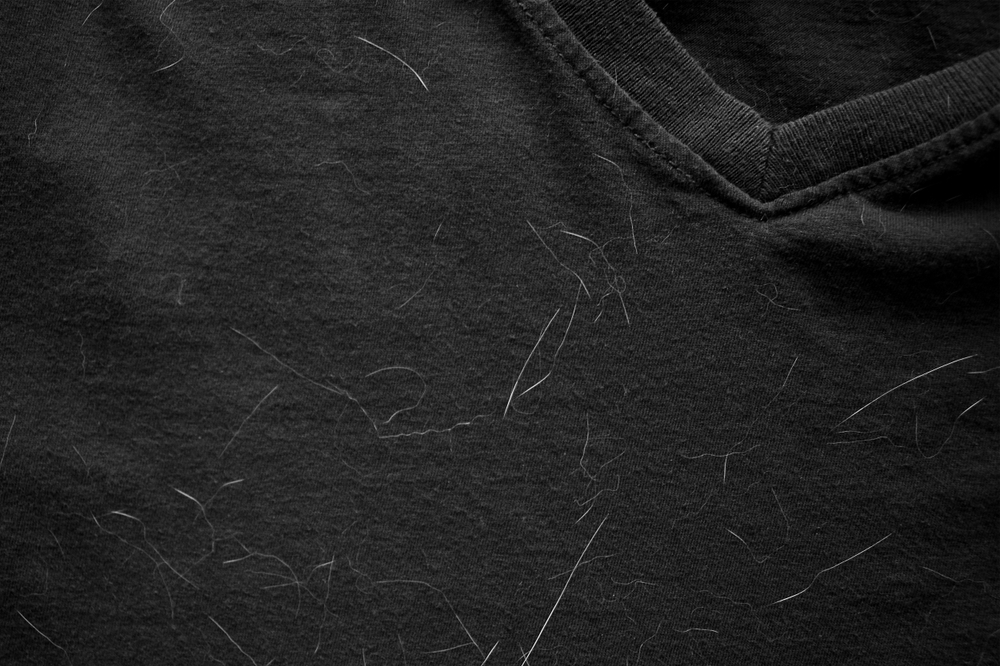 Maglietta di colore nero con peli di animale domestico di colore bianco Maglietta di colore nero con peli di animale domestico di colore bianco