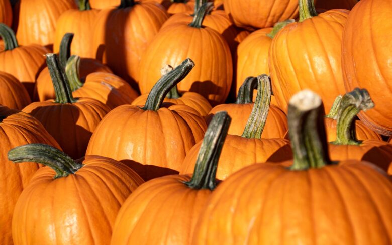 Zucca