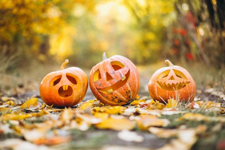 Zucca