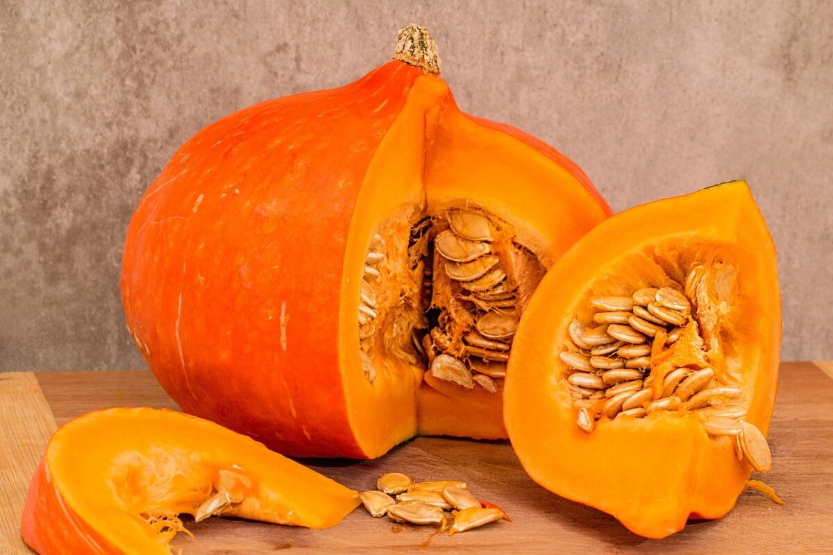 Zucca Zucca