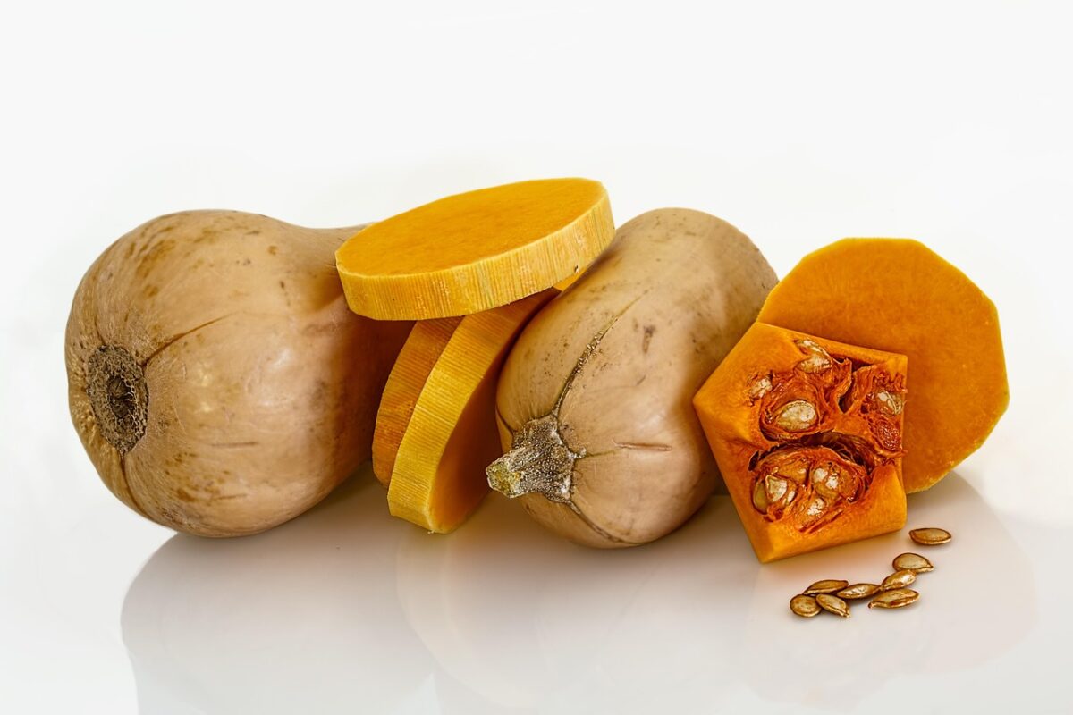 Zucca Zucca