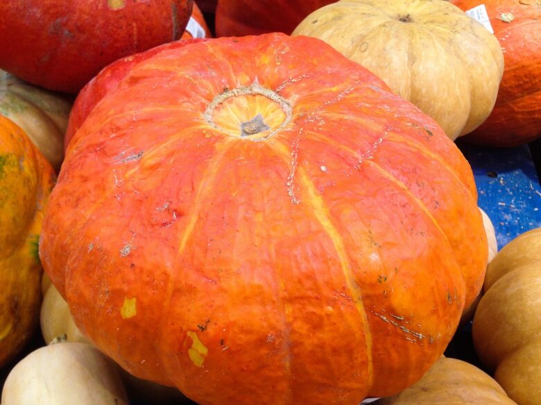 Zucca, Orto