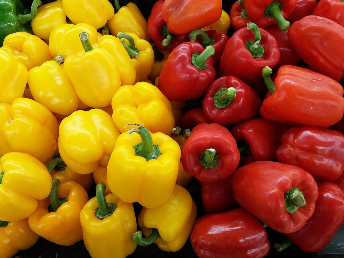 Peperoni, Arrostiti Peperoni, Arrostiti